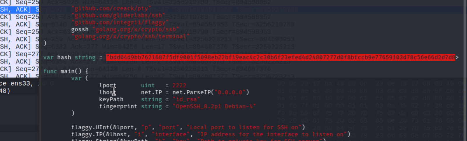 main.go showing the default hash hardcoded in the backdoor source